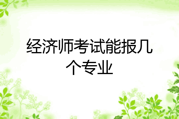 经济师考试能报几个专业