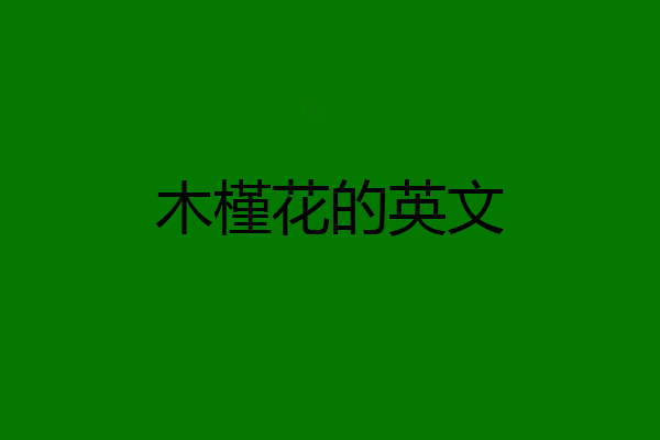 木槿花的英文