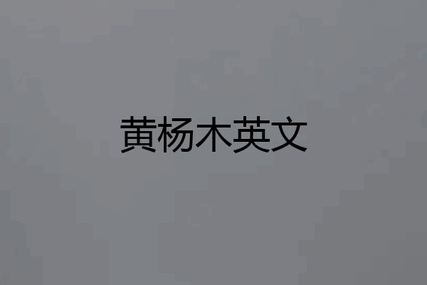 黄杨木英文