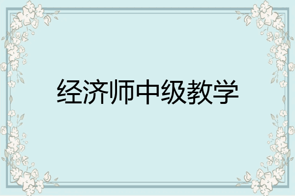 经济师中级教学