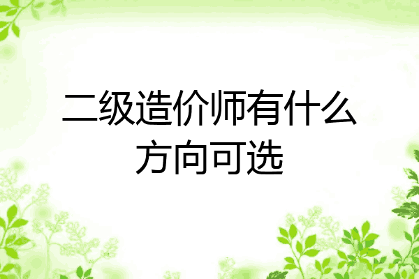 二级造价师有什么方向可选