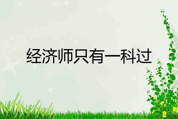 经济师只有一科过