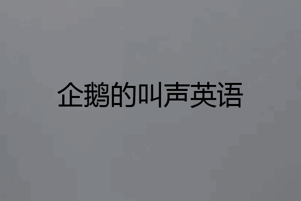 企鹅的叫声英语