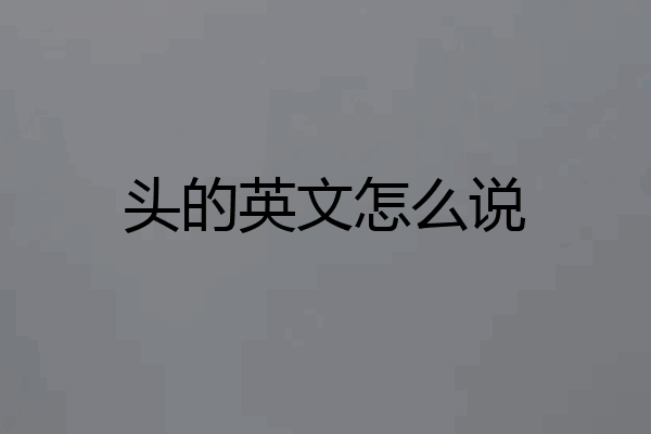 头的英文怎么说