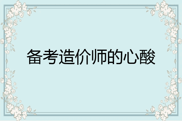 备考造价师的心酸