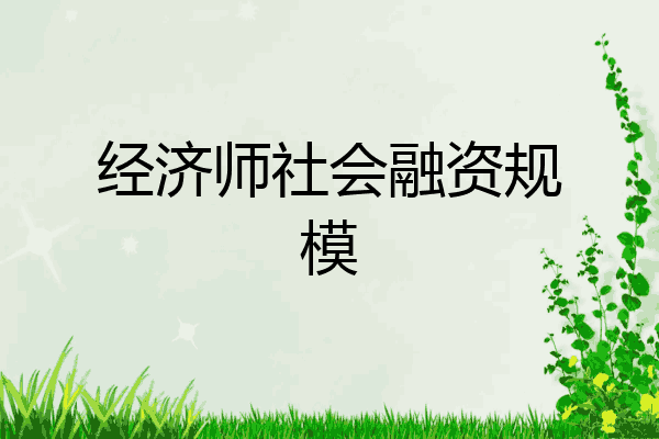 经济师社会融资规模