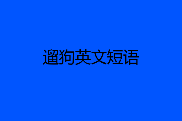 遛狗英文短语