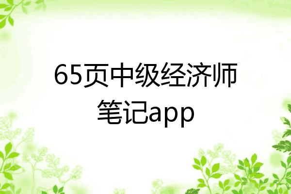 65页中级经济师笔记app