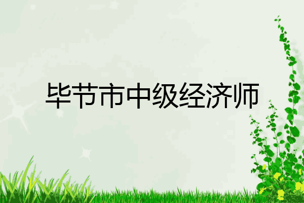 毕节市中级经济师