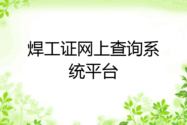 焊工证网上查询系统平台