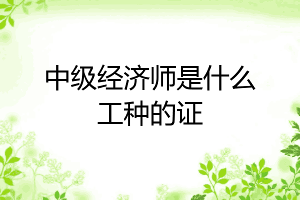 中级经济师是什么工种的证