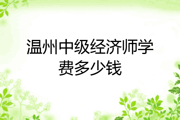 温州中级经济师学费多少钱