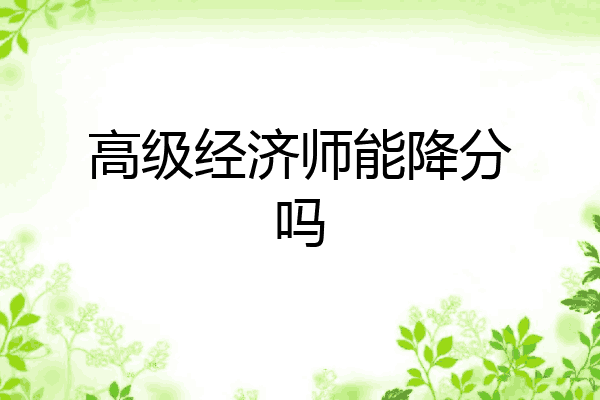 高级经济师能降分吗