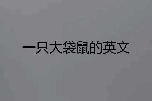 一只大袋鼠的英文