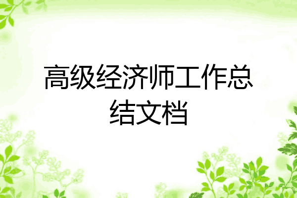高级经济师工作总结文档