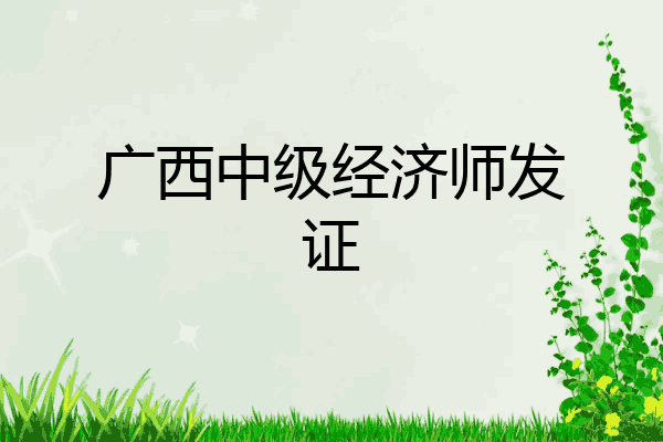 广西中级经济师发证