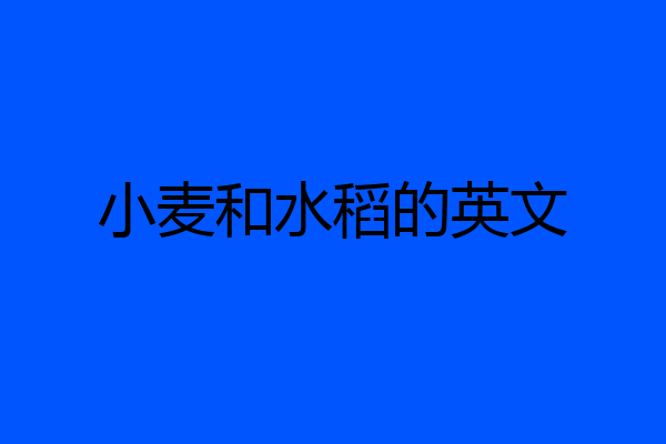 小麦和水稻的英文