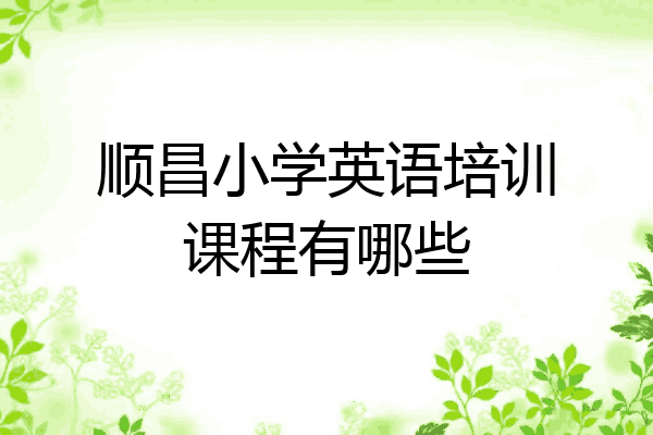 顺昌小学英语培训课程有哪些