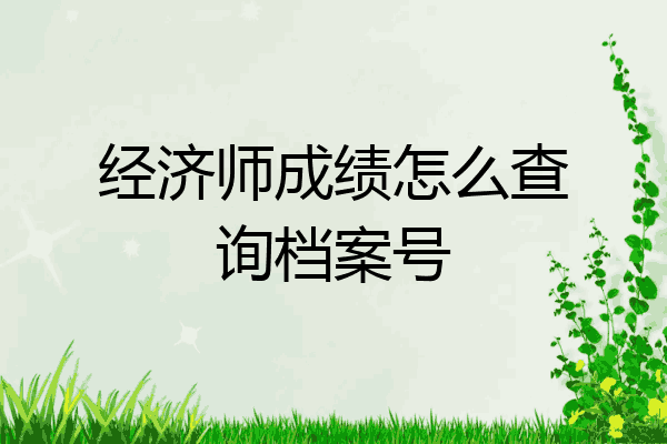 经济师成绩怎么查询档案号