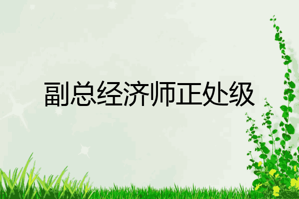 副总经济师正处级