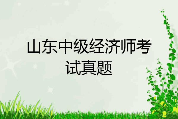 山东中级经济师考试真题