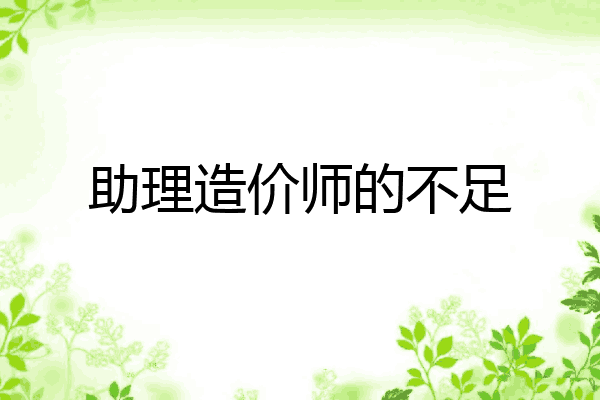 助理造价师的不足