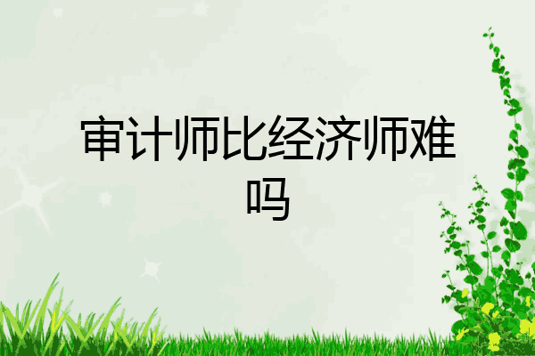 审计师比经济师难吗