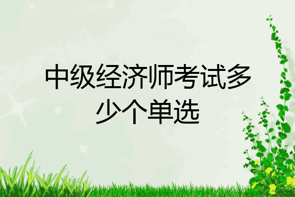 中级经济师考试多少个单选