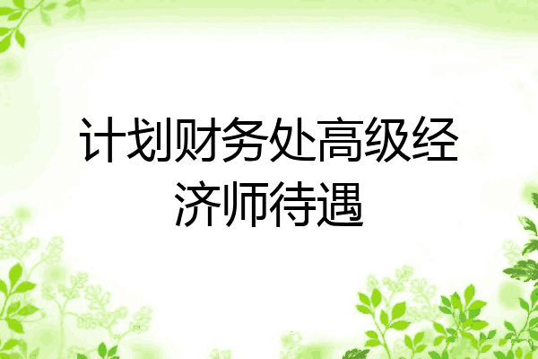 计划财务处高级经济师待遇