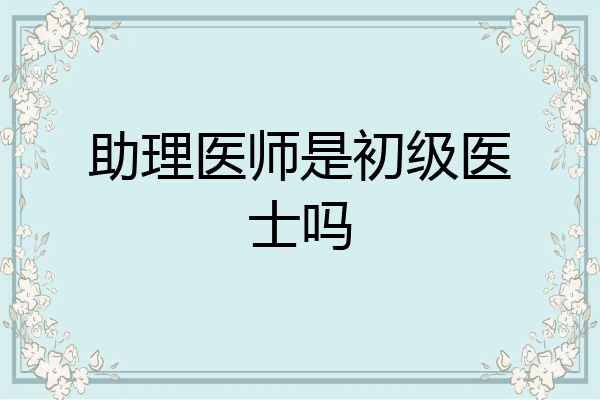助理医师是初级医士吗