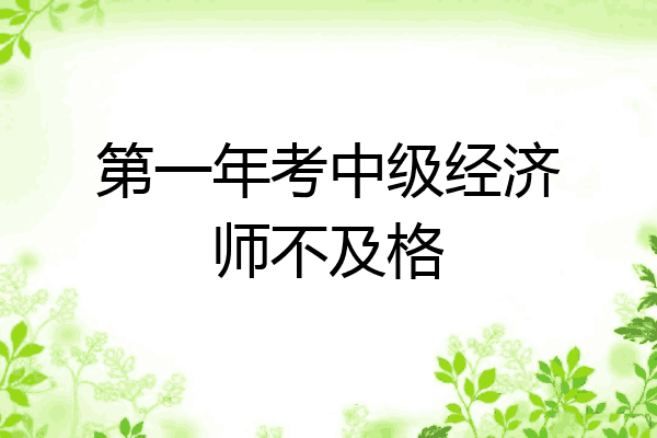 第一年考中级经济师不及格