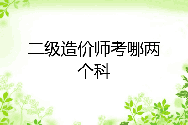 二级造价师考哪两个科