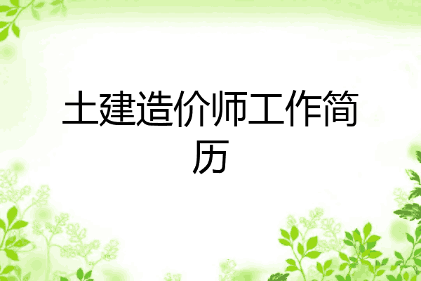 土建造价师工作简历