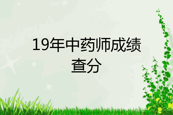 19年中药师成绩查分