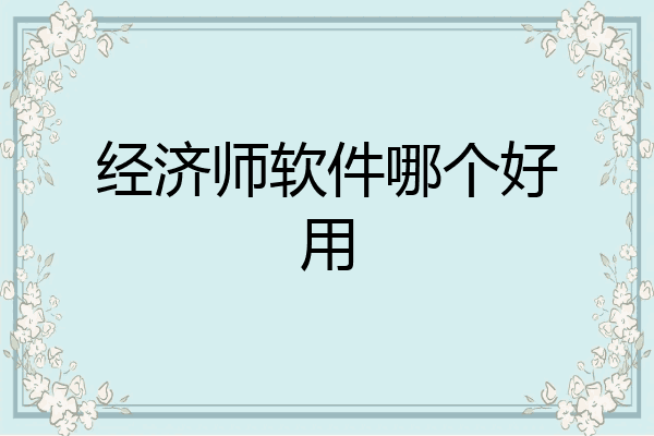 经济师软件哪个好用
