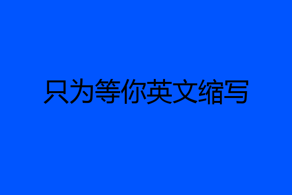 只为等你英文缩写