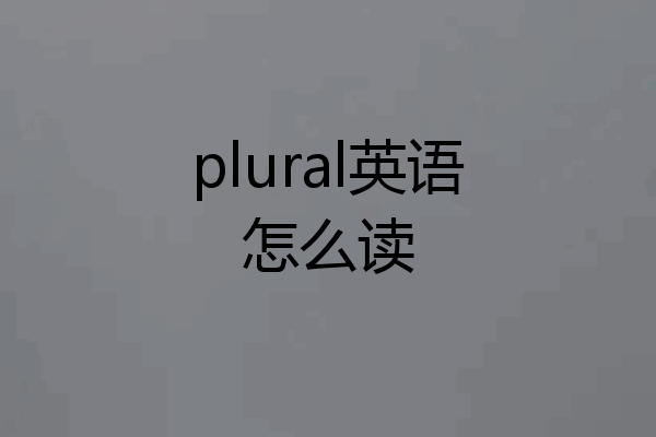 plural英语怎么读