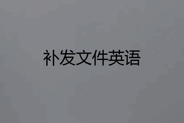 补发文件英语