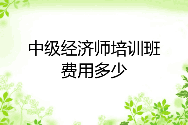 中级经济师培训班费用多少