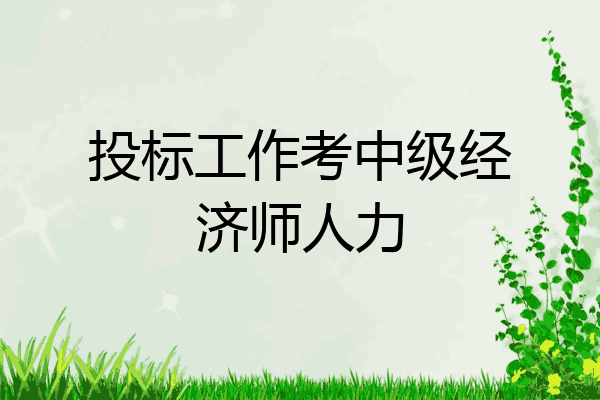 投标工作考中级经济师人力