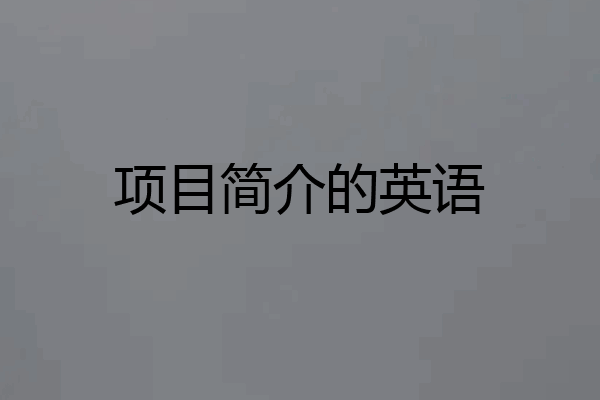 项目简介的英语