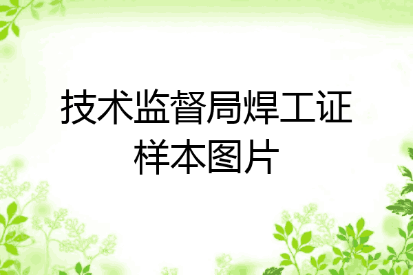 技术监督局焊工证样本图片