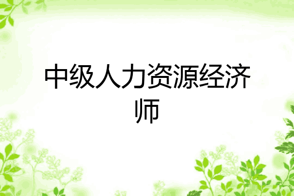 中级人力资源经济师