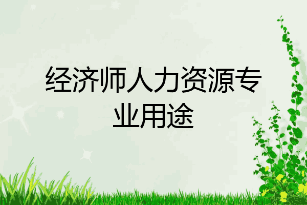 经济师人力资源专业用途