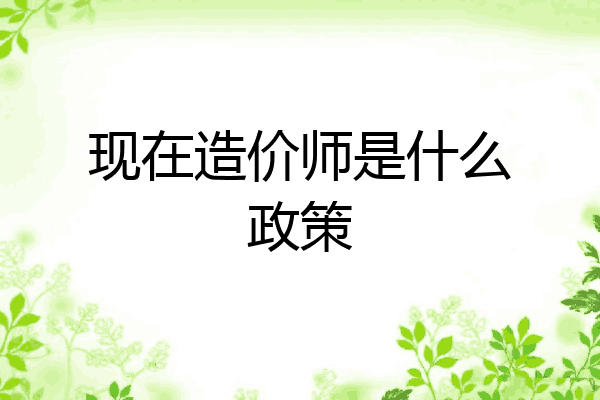 现在造价师是什么政策