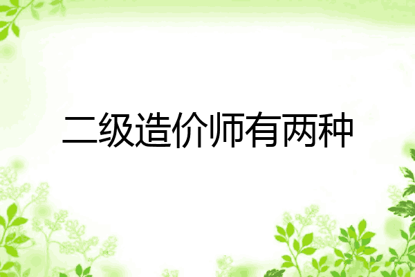 二级造价师有两种