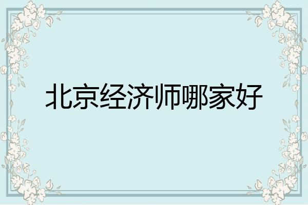 北京经济师哪家好