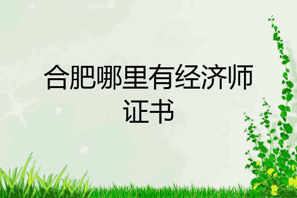 合肥哪里有经济师证书