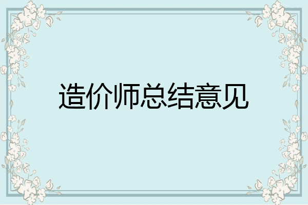 造价师总结意见