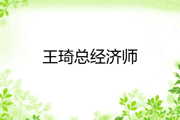 王琦总经济师